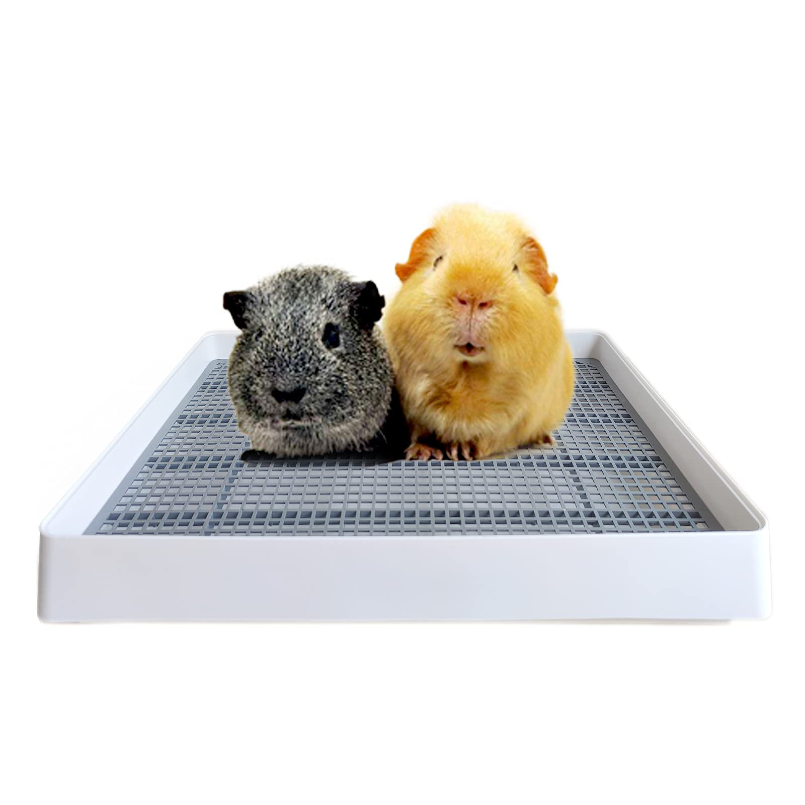 PODOO Rabbit Litter Box – Training Potty Tray for Guinea Pig & Small Pets · Spacious Grid Pan ... | Amazon (US)