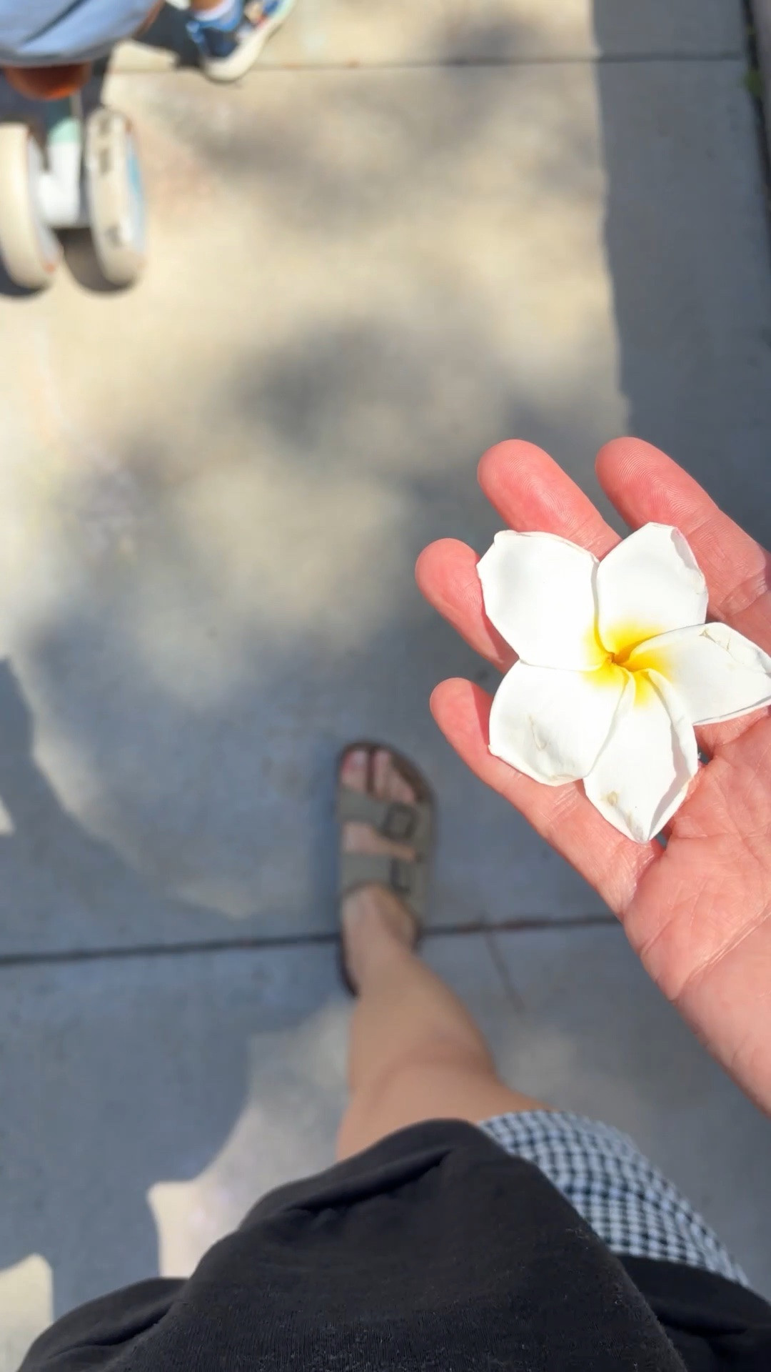 Morning walks 🌸

#LTKKids #LTKmorningroutine #LTKmomlife