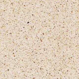 Silestone2 in. x 4 in. Quartz Countertop Sample in Blanco City249(19)Questions & Answers (17) | The Home Depot