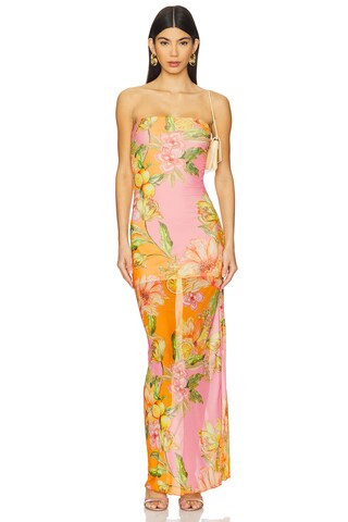 Sofia Tube Dress in Clementine | Revolve Clothing (Global)