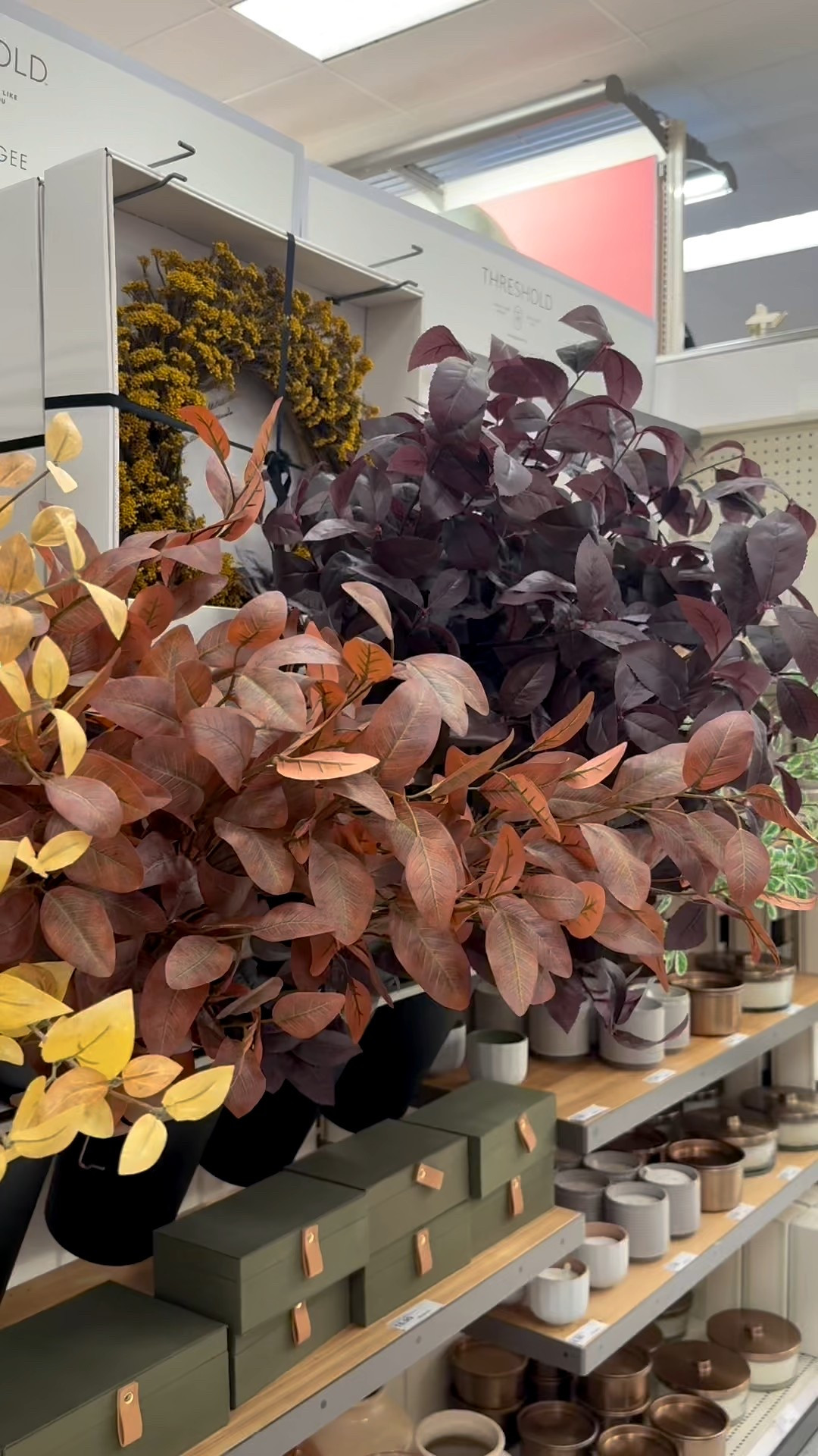 🍂 Last call! Hearth & Hand fall stems are almost gone—here’s what’s left right now. Hurry and grab yours before they sell out!

#LTKSeasonal #LTKFindsUnder50 #LTKHome