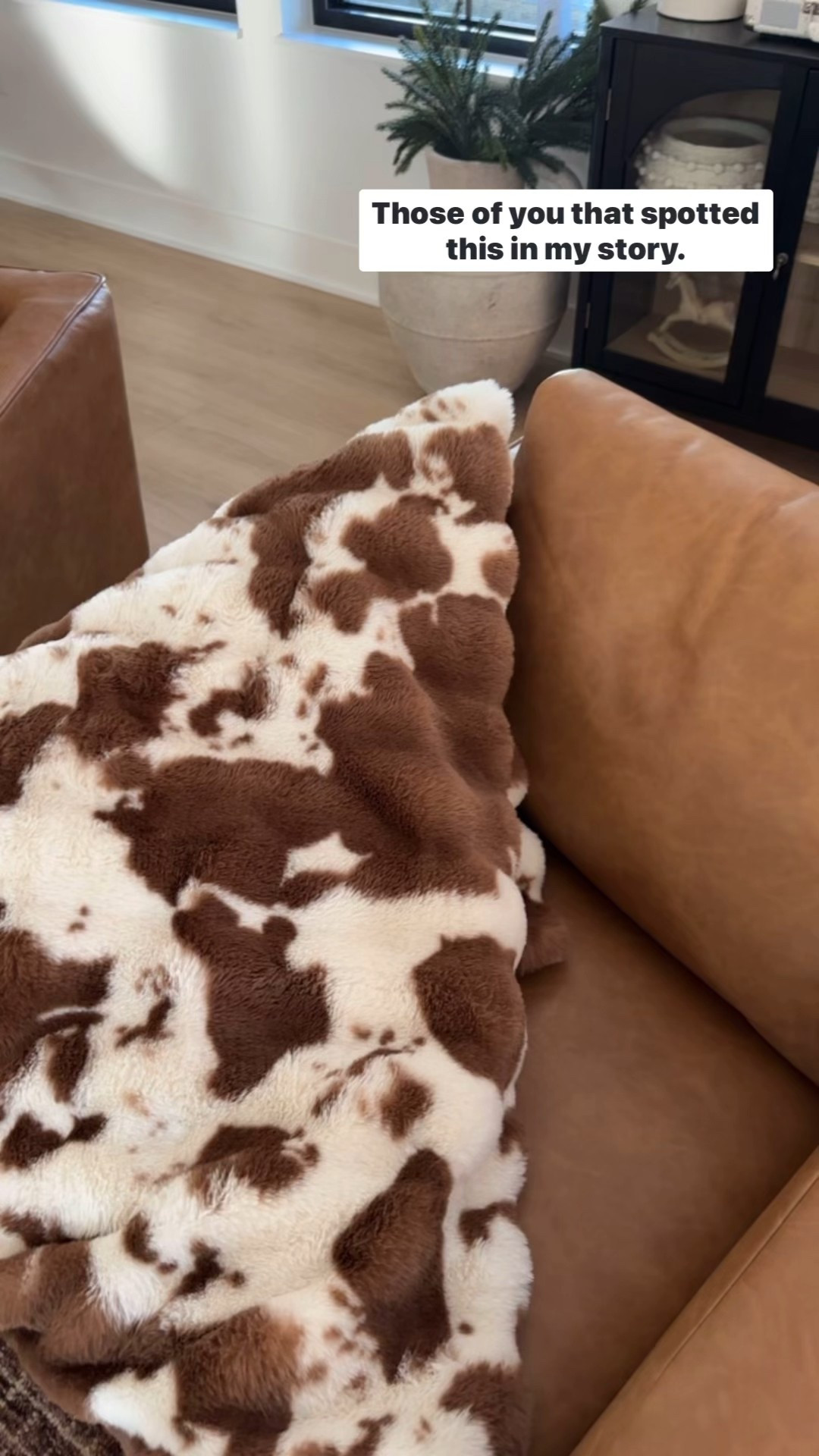 My animal print throw blanket from Sam’s club is so soft!

#LTKGiftGuide #LTKHome #LTKSeasonal