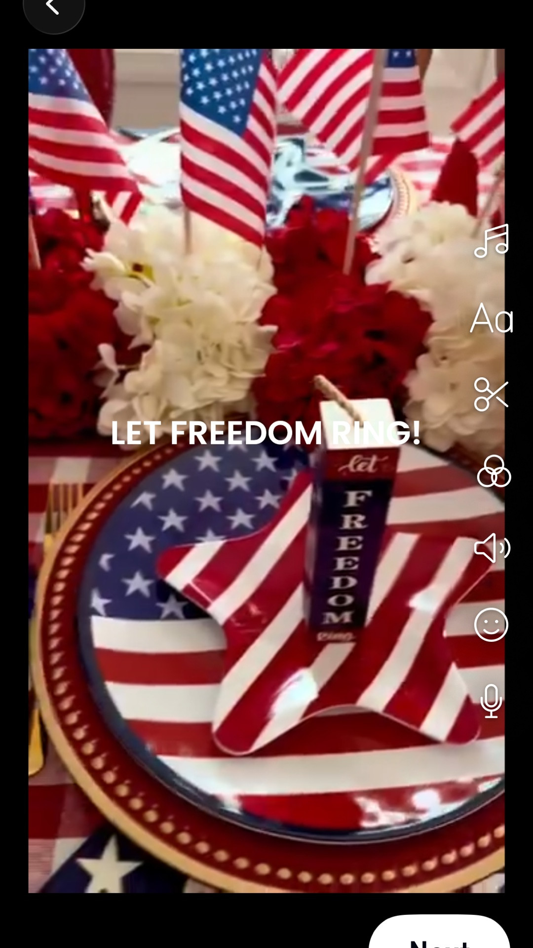 Patriotic Pizzazz ❤️🤍💙
I wanted to share this again with you  from last year because it was such a favorite!

Add a little sparkle to your space this season with these Amazon hidden gems! From vibrant faux florals that look freshly picked to red and white buffalo plaid you can use all year long, these finds bring festive charm to any corner. Perfect for Memorial Day, the 4th of July, and beyond! ⭐️

#LTKSeasonal #LTKHome #LTKSaleAlert