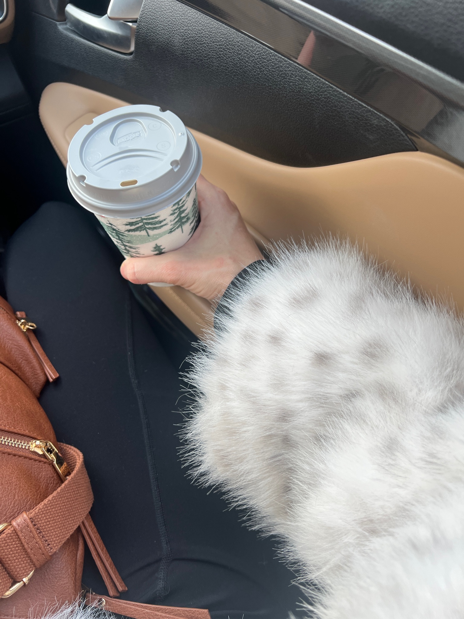 Love my new faux fur jacket for the colder months! Linking similar and these cute winter disposable coffee cups!

#LTKFindsUnder100 #LTKSeasonal #LTKTall
