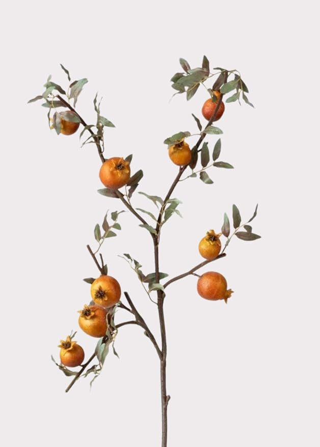 Afloral Dried-Look Faux Pomegranate Branch - 44" | Amazon (US)