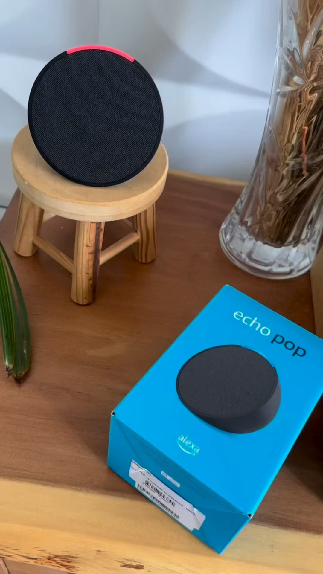 Alexa Echo Pop é o querido de todo lar e espaço, ajuda muuuuito no seu dia a dia. Adquira o seu aqui no Achadinho da Lu. 

#LTKfamily #LTKbrasil #LTKVideo