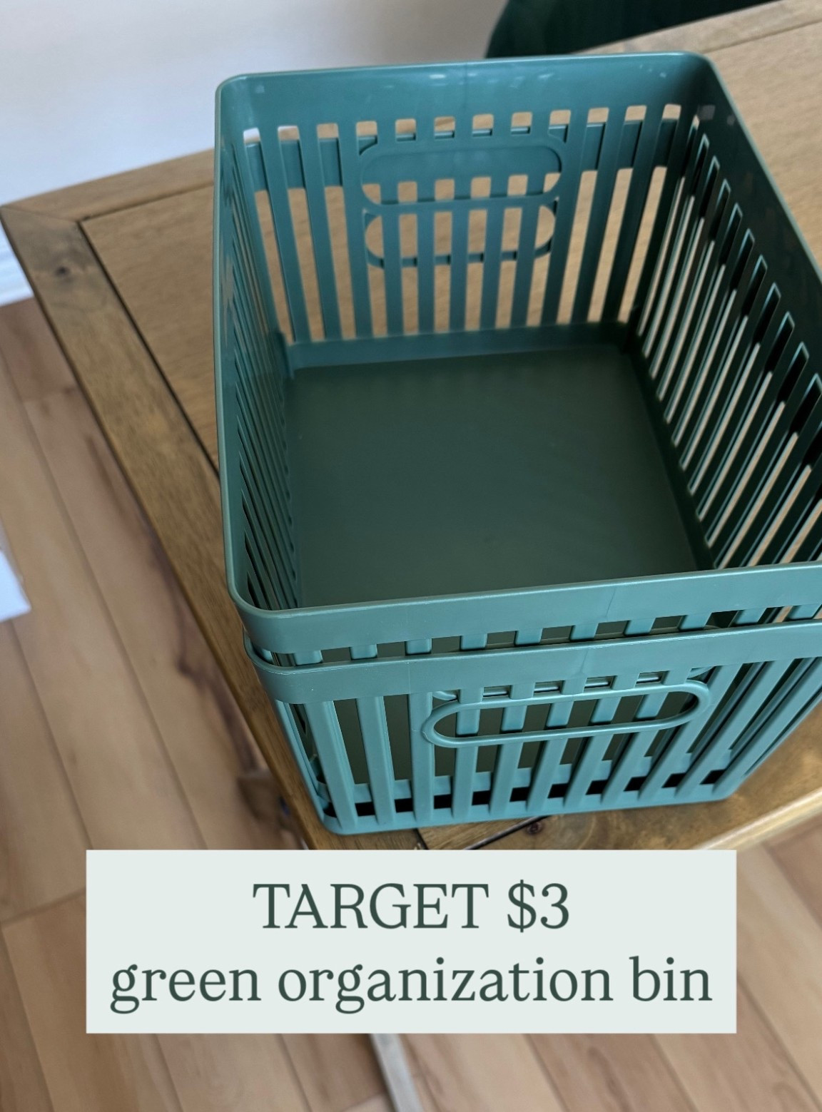 Target circle spot. $3 green Sage organization bin  

#LTKFindsUnder50 #LTKHome