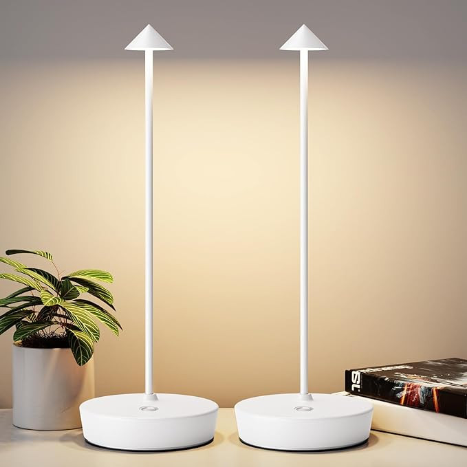 2Pack Rechargeable Cordless Table Lamp, Portable Powered LED Battery 6000mAh Metal USB Desk Lamp,... | Amazon (US)