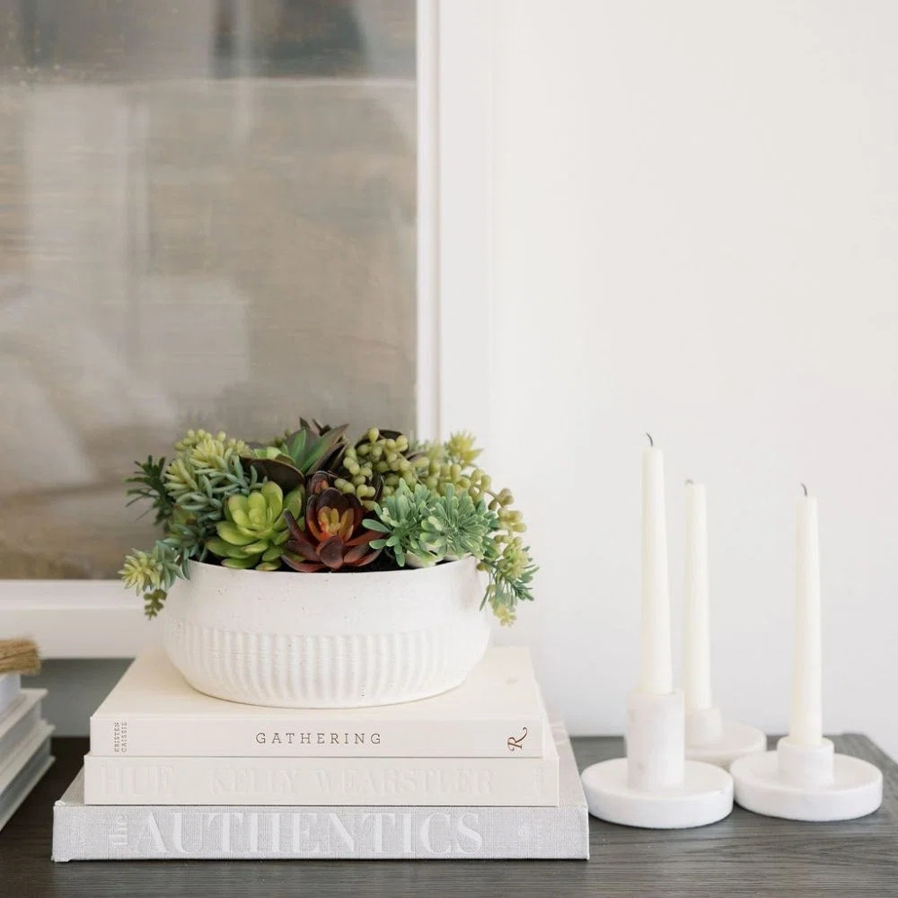 12" Succulent Arrangement | Perigold