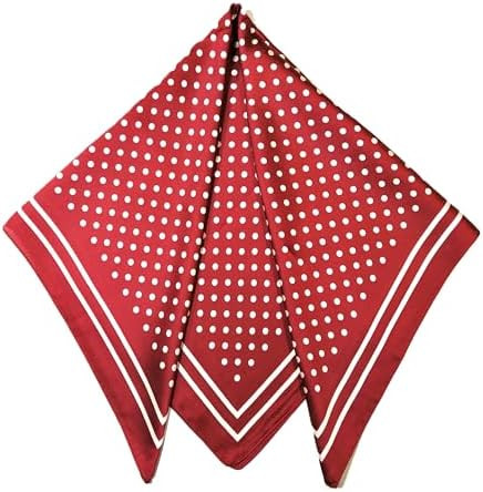 Shanlin Silk Feel Pattern Square Scarves 27" X 27" | Amazon (US)