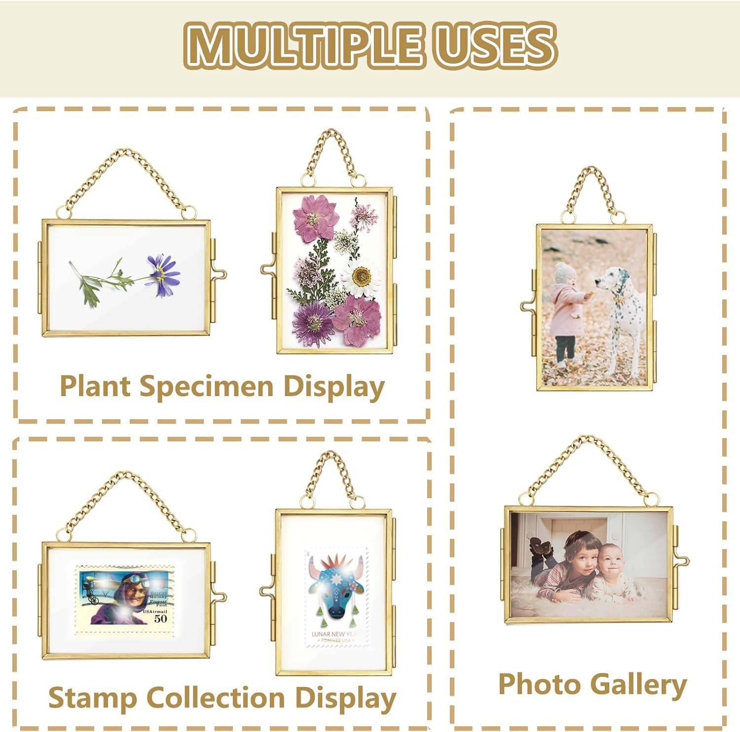 2Pcs Double Glass Frame for Pressed Flowers, 2x3 inch Picture Frame Mini Brass Wall Hanging Photo... | Amazon (US)