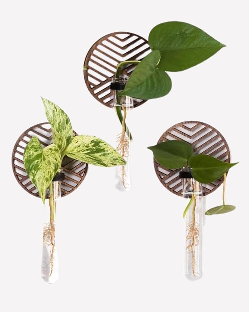 Wall Planter Set of 3 | Stylish, Boho Wall Plant Holder 4"x8" | Aesthetic Wall Decor | Propagatio... | Amazon (US)