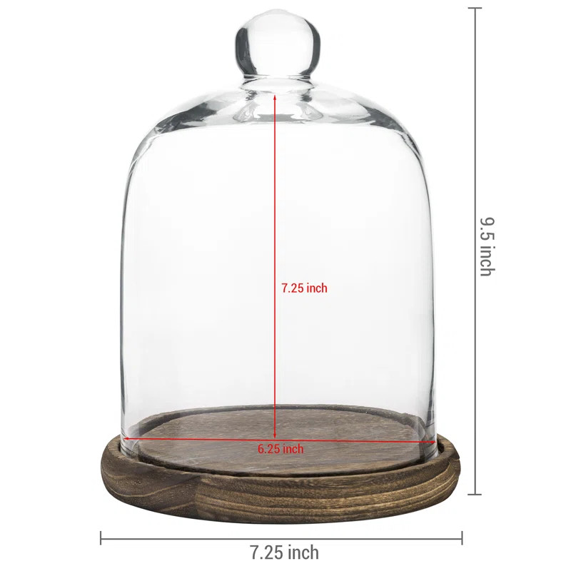 Addysin 7" Glass Decorative Cloche Dome Jars with Wood Base | Wayfair North America