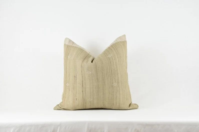 Beige Silk Indian pillow | Etsy (US)