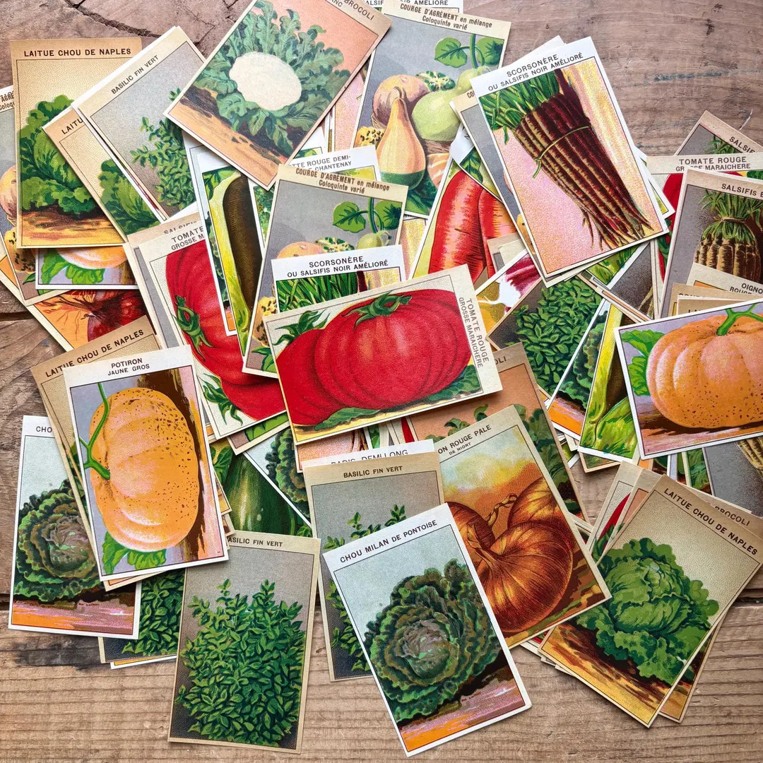 Vegetable Seed Packet Labels (1930s) | Lots of Five or Ten | French Ephemera Lots | Vintage Paper... | Etsy (US)