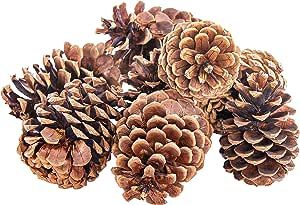 Bloom Room Natural Pine Cones Decorations | Rustic Home Decor for Centerpiece Table Decorations a... | Amazon (US)