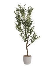 51in Olive Tree In Cement Pot | TJ Maxx
