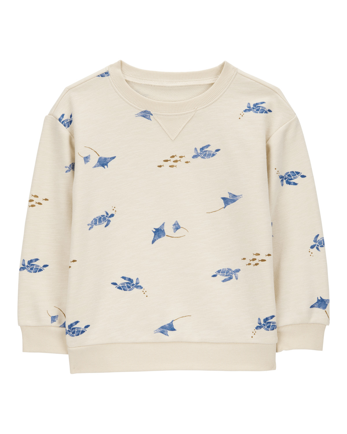 Toddler Turtle Print Knit Pullover | Carter's Inc