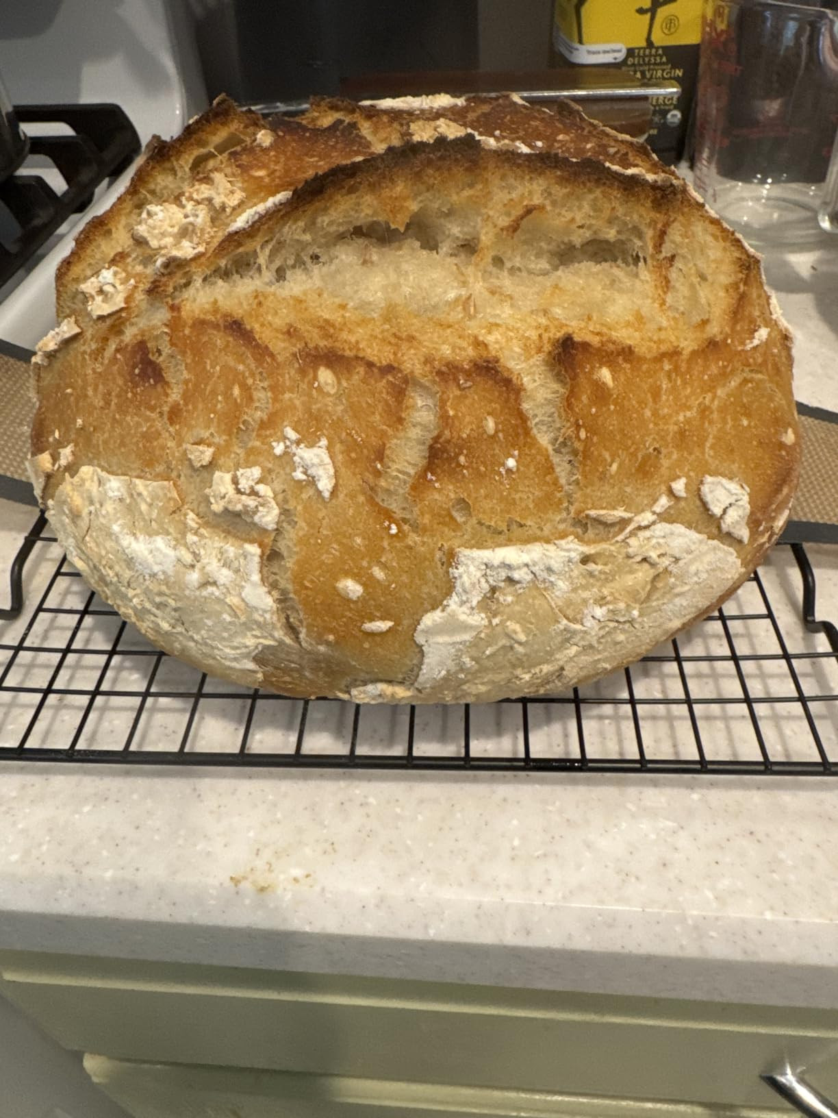 Enameled Cast Iron Dutch Oven Pot with Lid, Round Bread Oven for Homemade Sourdough Bread Baking,... | Amazon (US)