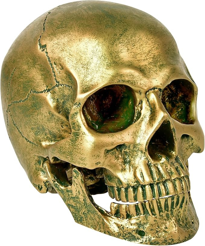 SEKKVY Resin Human Gold Skull Statues Halloween Decor Skeleton Outdoor Human Skull Model Golden H... | Amazon (US)