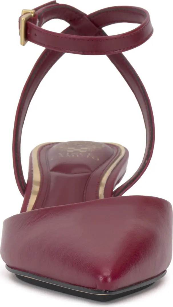 Irva Ankle Strap Pointed Toe Pump (Women) | Nordstrom