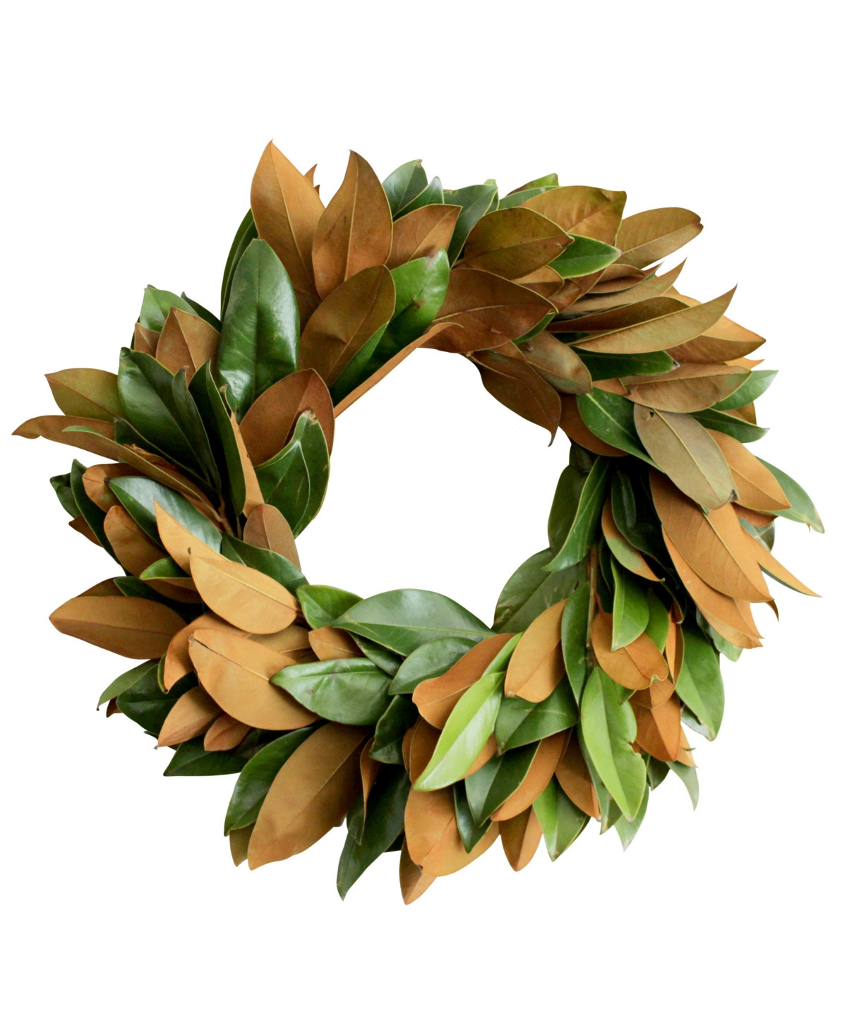 Magnolia Supply Co Fresh Magnolia Wreath, 20 | Macy's
