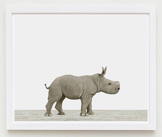 Baby Animal Nursery Art Print. Baby Rhino. Animal Nursery Decor. Baby Animal Photo. | Etsy (US)