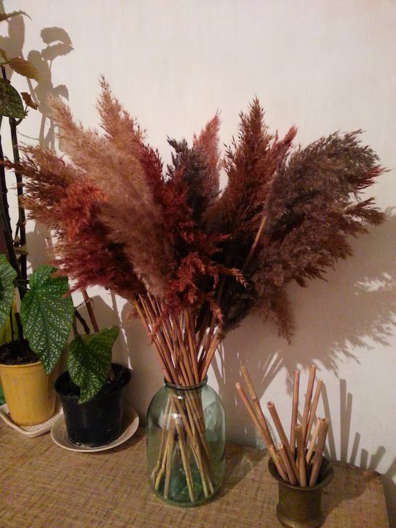PAMPAS GRASS Mix/Dried Reeds/Dried Flowers/RED Mix/Dried Pampas Grass/Wedding Decor/Tall Vase/Dri... | Etsy (US)