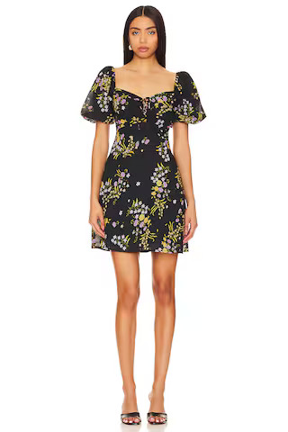 Steve Madden Violeta Dress in Black from Revolve.com | Revolve Clothing (Global)