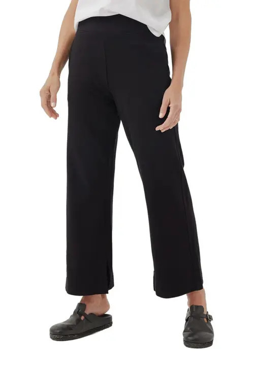Pact Organic Cotton Airplane Pant in Black at Nordstrom, Size Small | Nordstrom