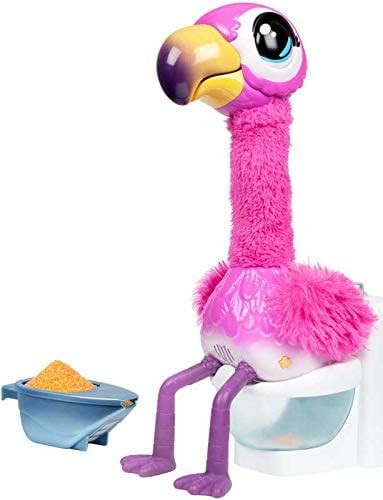 Gotta go Flamingo! Feed Sherbert Magic Food and When he Sings he has Gotta go Toilet! He Repeats ... | Amazon (US)
