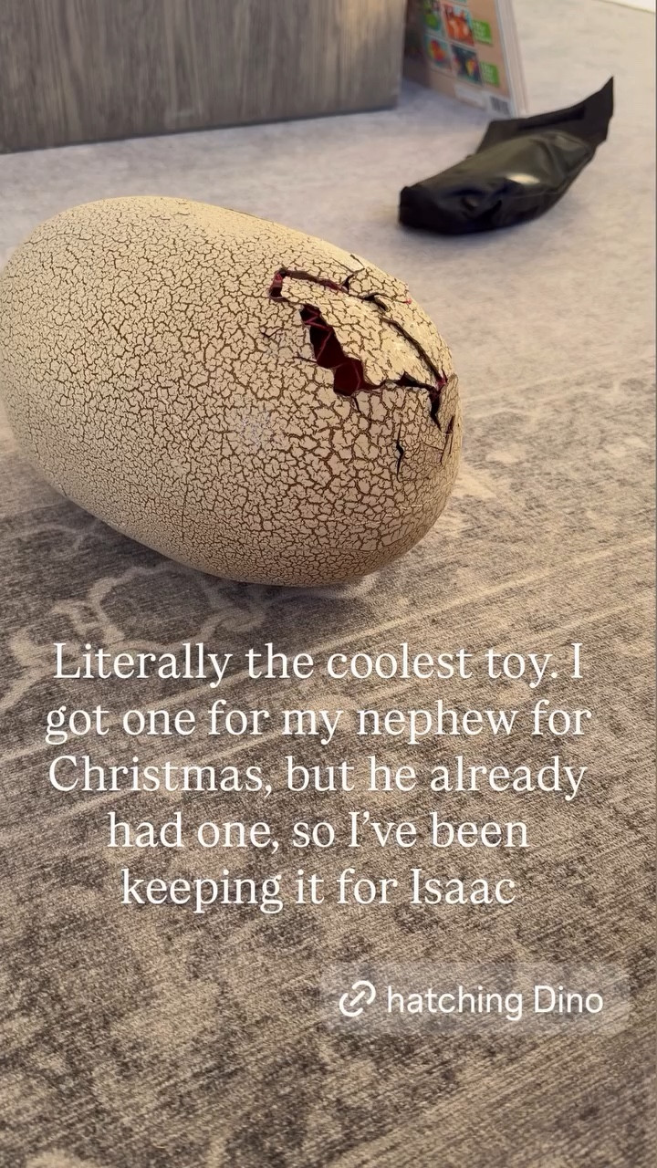Literally the coolest toy. I got one for my nephew for Christmas, but he already had one, so I’ve been keeping it and it was a hit! You can feed the dinosaur and pet him. 

Kids toy, boy toy, toddler boy 

#LTKmomlife #LTKKids