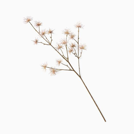 Faux Thistle Branch | West Elm (US)