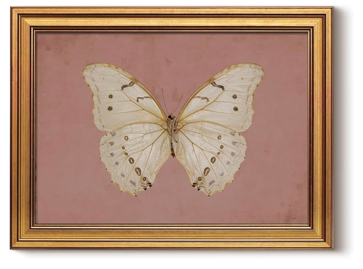 Perfect for a little girl’s room or even a nursery! 😍

#LTKHome #LTKBaby #LTKKids