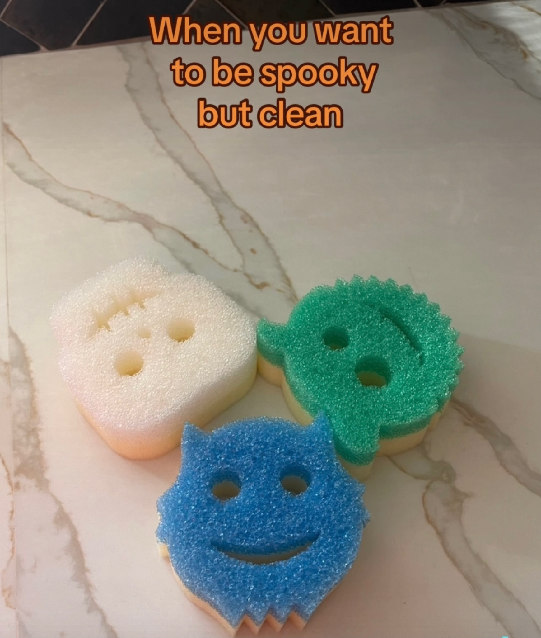 These will get your kitchen sink SPOOKY clean 👻 

#LTKHalloween #LTKGiftGuide #LTKHolidaySale