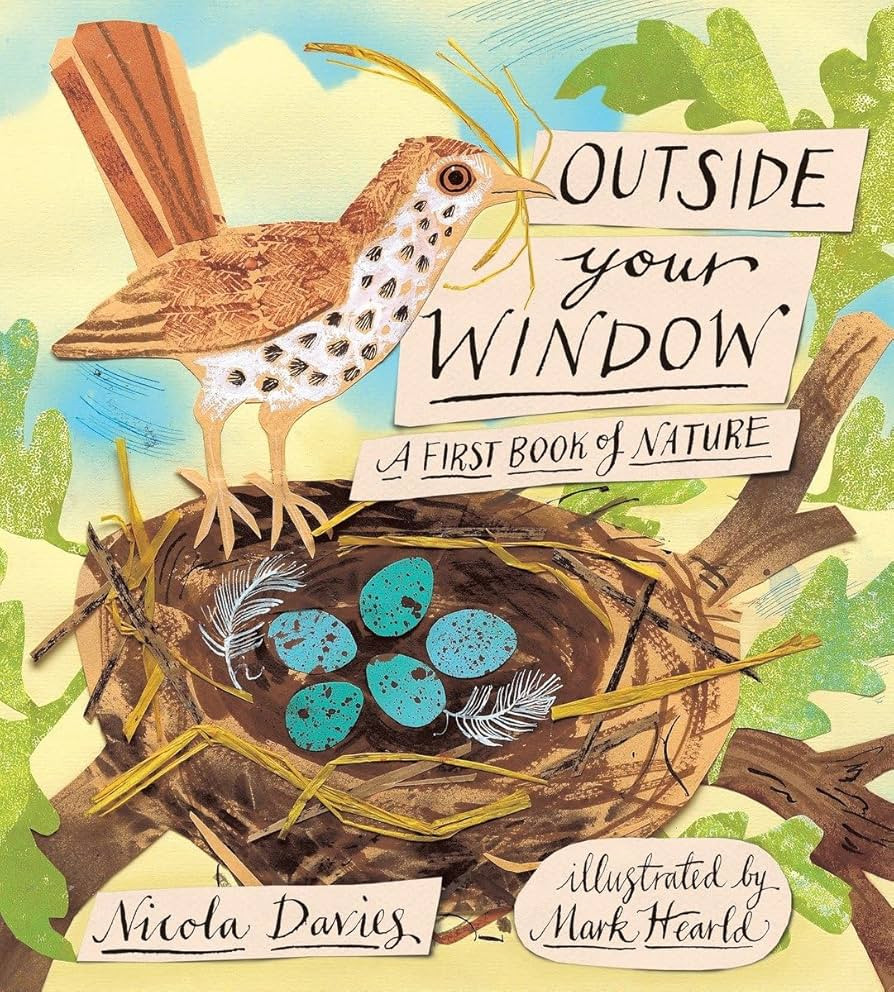 Outside Your Window: A First Book of Nature | Amazon (US)
