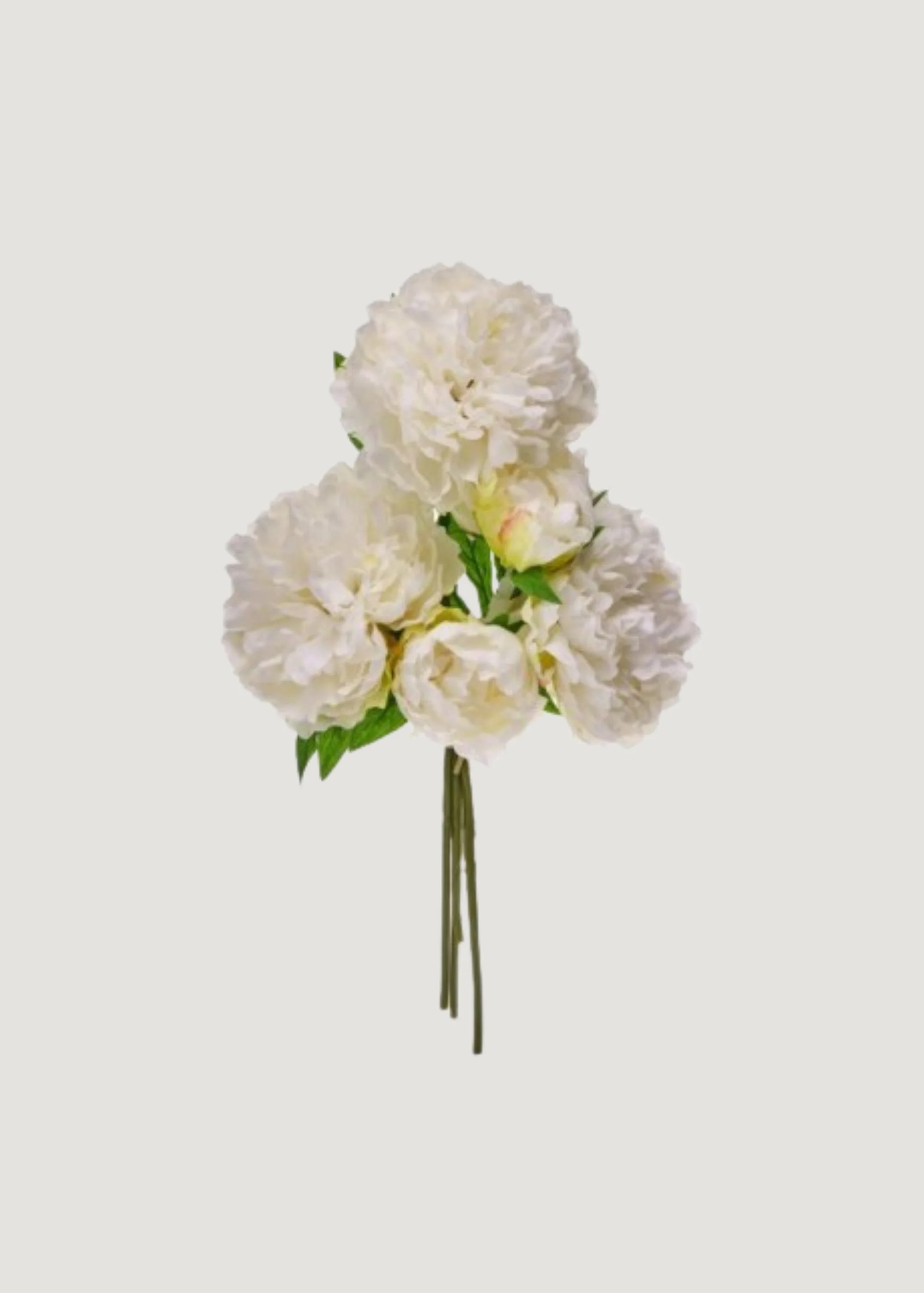 Fake Flower Bundle of 5 Peonies in Cream - 15 | Afloral