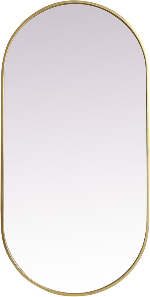 Asha 24x48 Oval Modern Metal Wall-Mounted Mirror in Brass | Amazon (US)