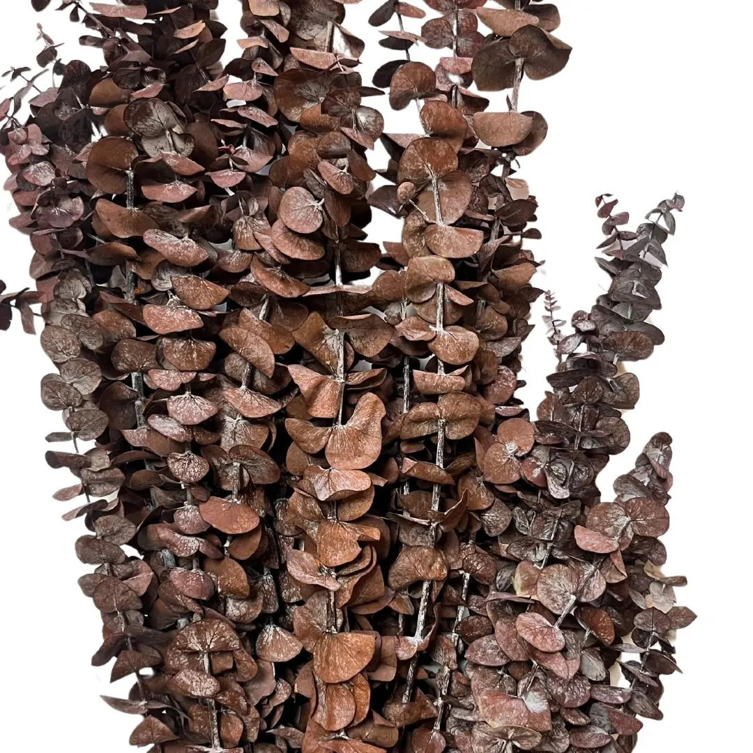 Preserved Eucalyptus, Brown Eucalyptus, Wedding Greenery, Rustic Wedding Florals, Bridal Bouquet,... | Etsy (US)