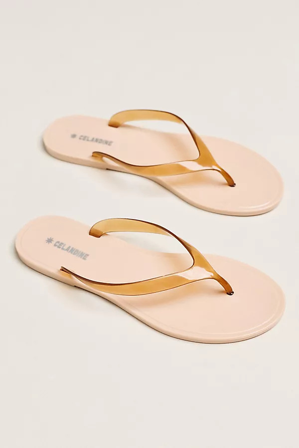 Sol Jelly Flip Flops | Anthropologie (US)