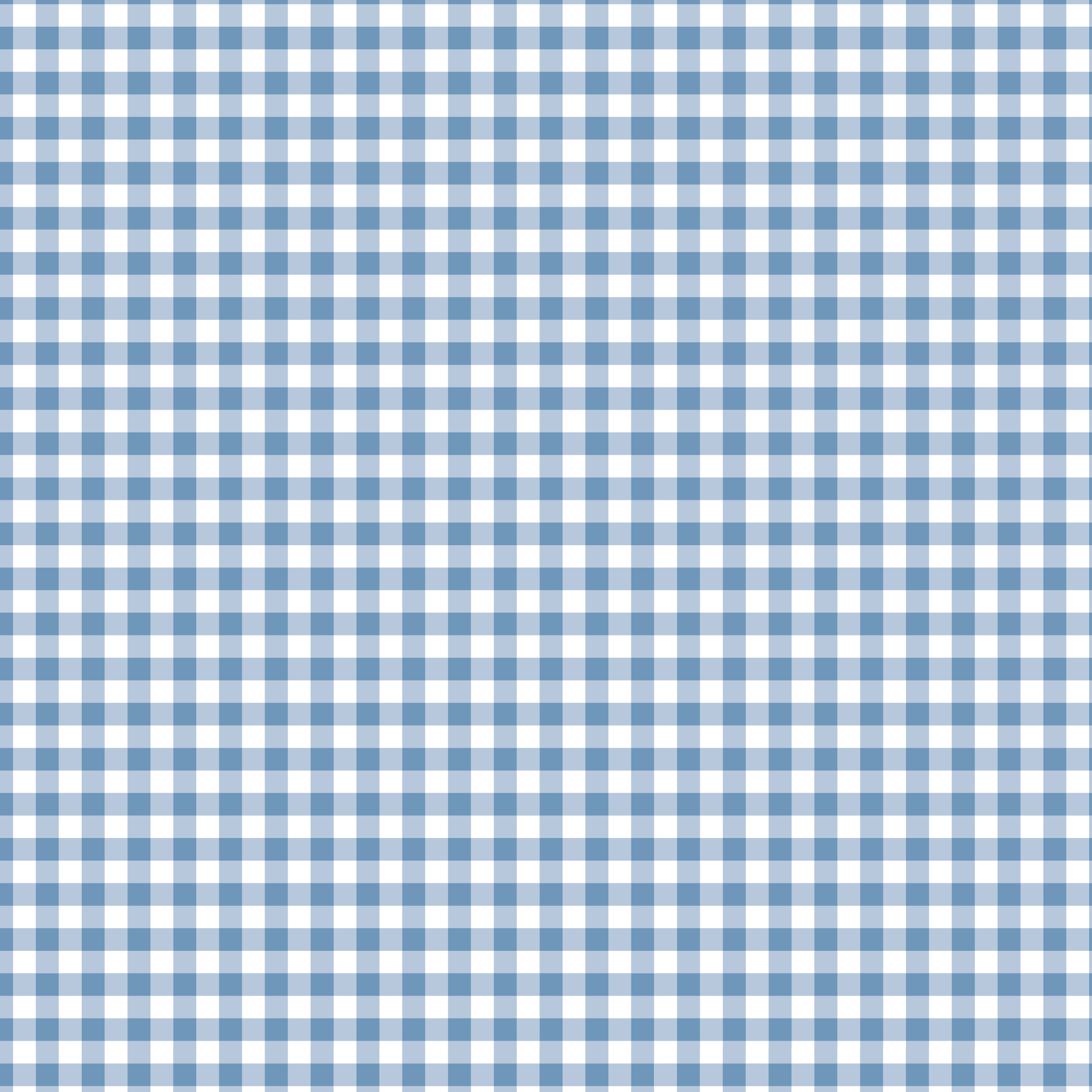 Picnic August Gingham - French Blue | Table 06