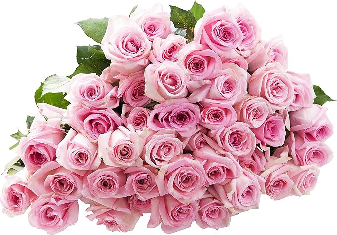 Blooms2Door-WEDDING COLLECTION- 50 Pink Roses (Farm-Fresh, Long Stem - 50cm) - Farm Direct Wholes... | Amazon (US)
