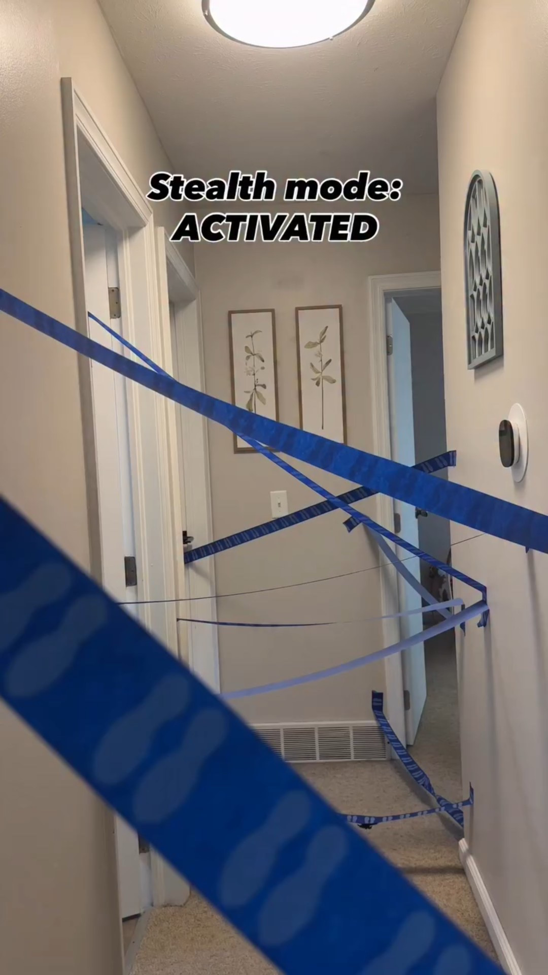 Simple idea, big fun: a hallway maze challenge! Who can make it through without touching the tape? 

#MomHack #KidsActivities #ParentingWin #CreativePlay #MomLife

#LTKHoliday #LTKKids #LTKHome