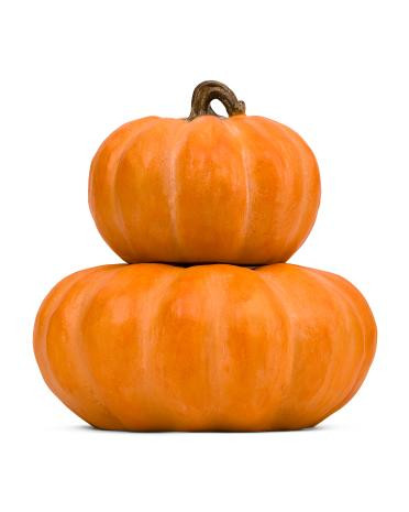 2pc Outdoor Safe Stacking Pumpkins | Home | TJ Maxx S | TJ Maxx