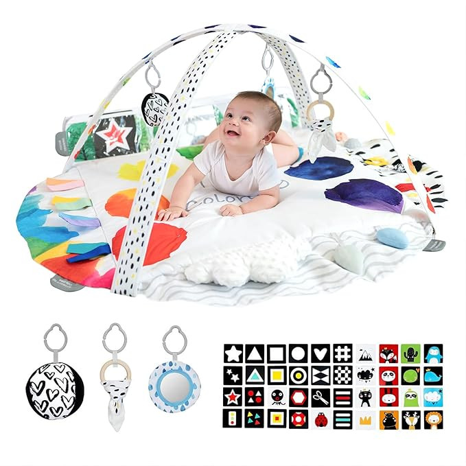 LADIDA Stage Based Baby Play Gym, 4 Zone Sensory & Motor Skills Development Activity Mat, Large 4... | Amazon (US)