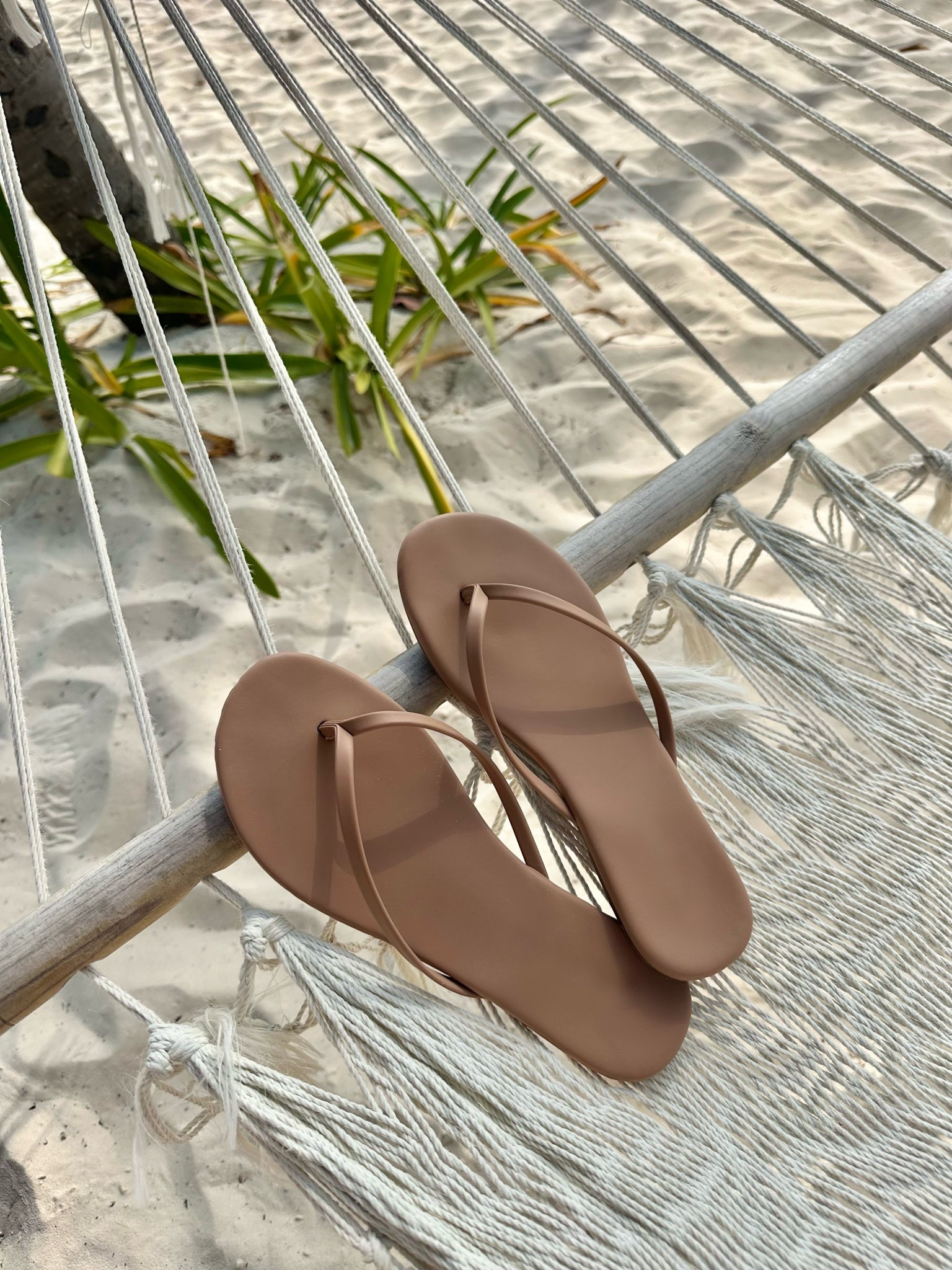 So comfortable with cushy soles. Comes in lots of shades and multiple nude tones. On sale under $25  These are Taupe. (Not Tkees! They don’t work for me)  True to size. 

Flip flops
Summer sandals
Vacation
Tan
Black
Neutral 

#LTKSwim #LTKFindsUnder50 #LTKSaleAlert