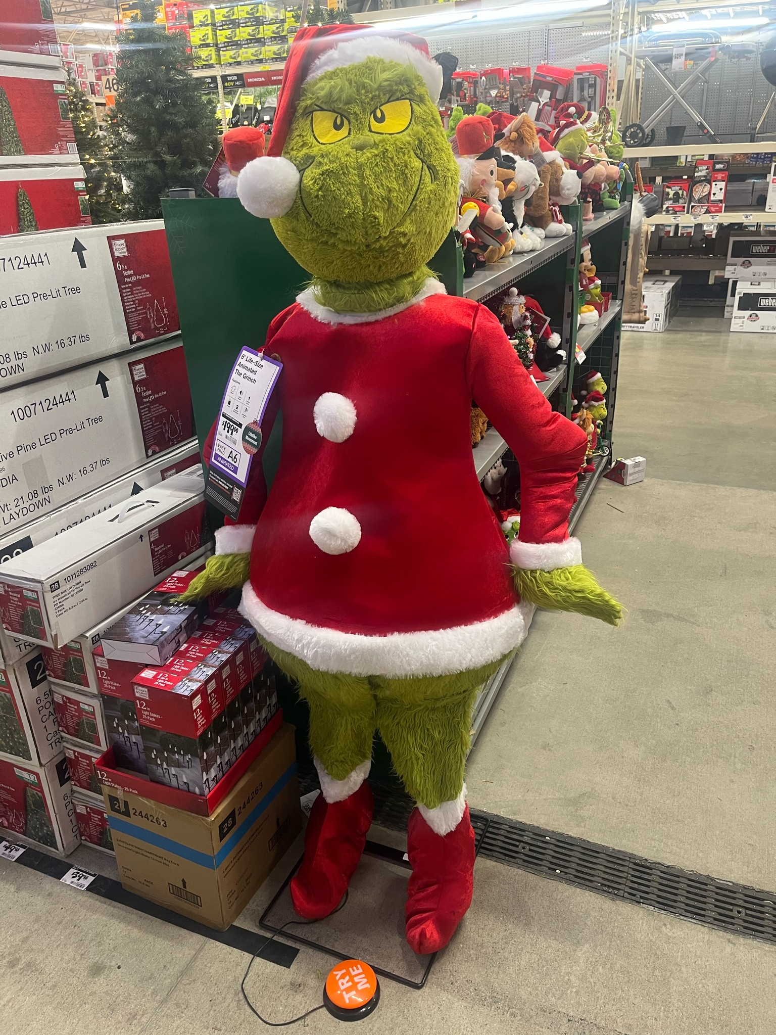 Outdoor Christmas Decorations at Home Depot 🎄❤️

#Christmas #decorations #outdoor #thegrinch #holidays 

#LTKHome #LTKSeasonal #LTKHoliday