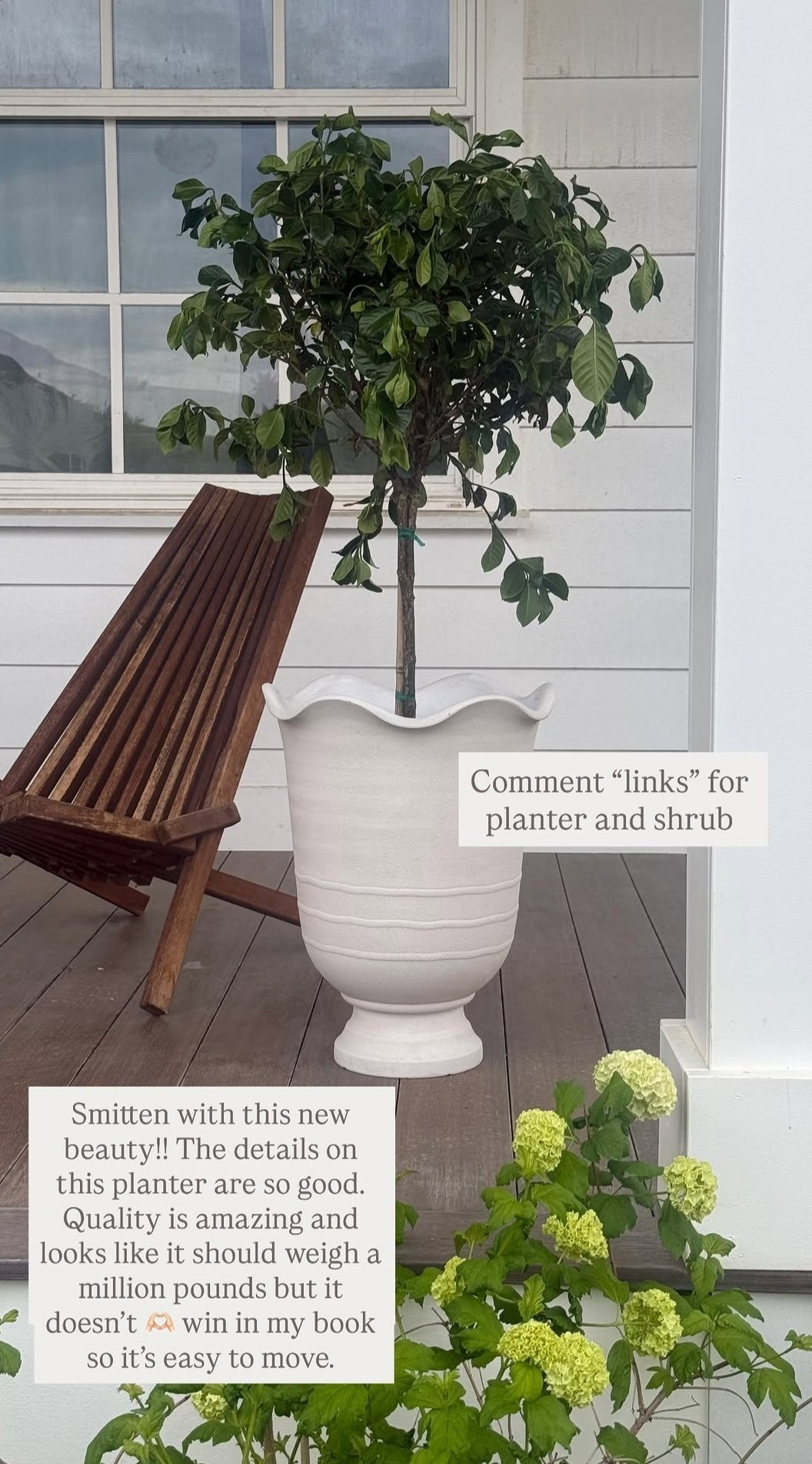 Working on updating my porch a bit. This gardenia shrub is so pretty! and the details on this planter? So good. The planter looks heavy but it's not and very easy to move.  

 #LTKSeasonal #LTKHome