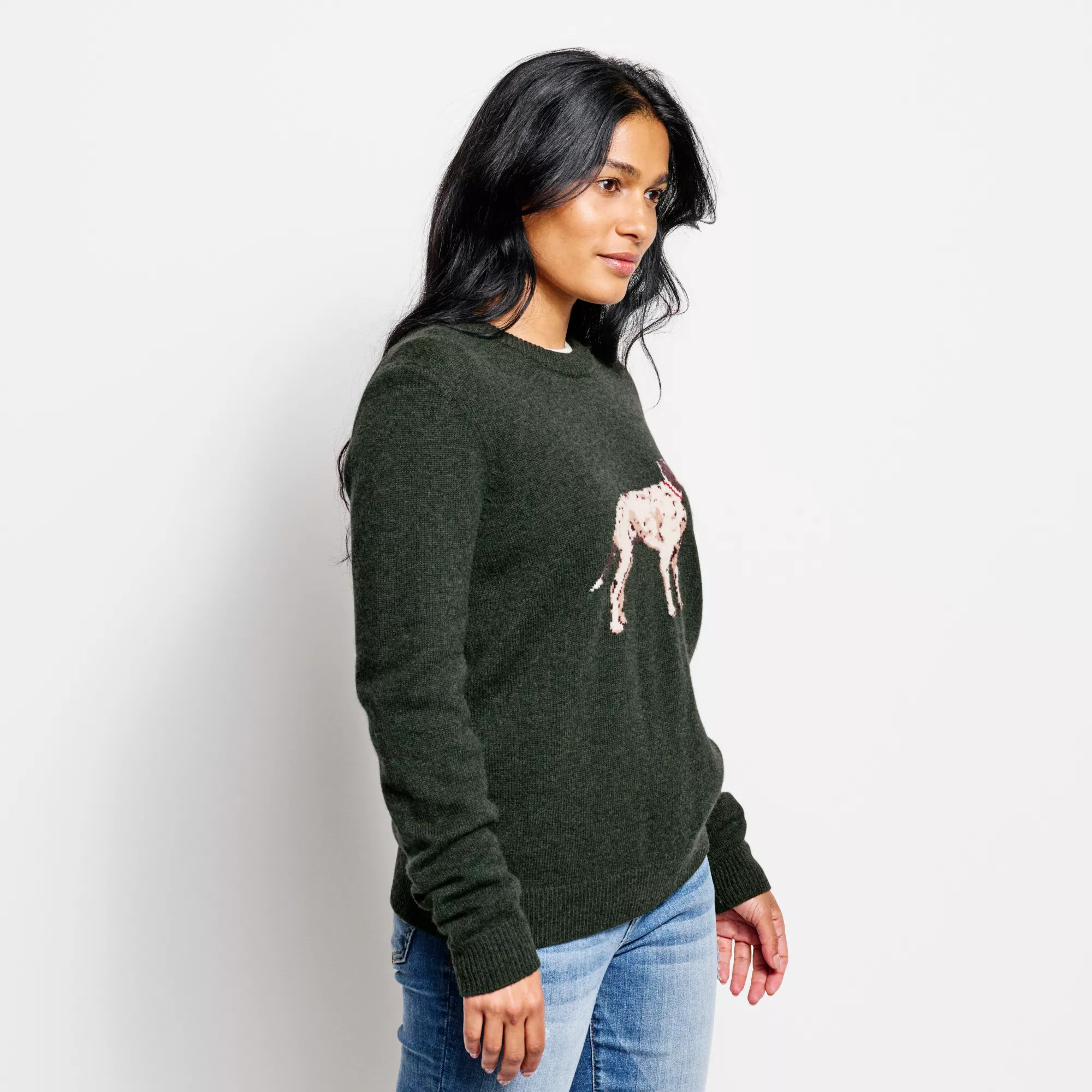 Best Friend Crew Sweater | Orvis (US)