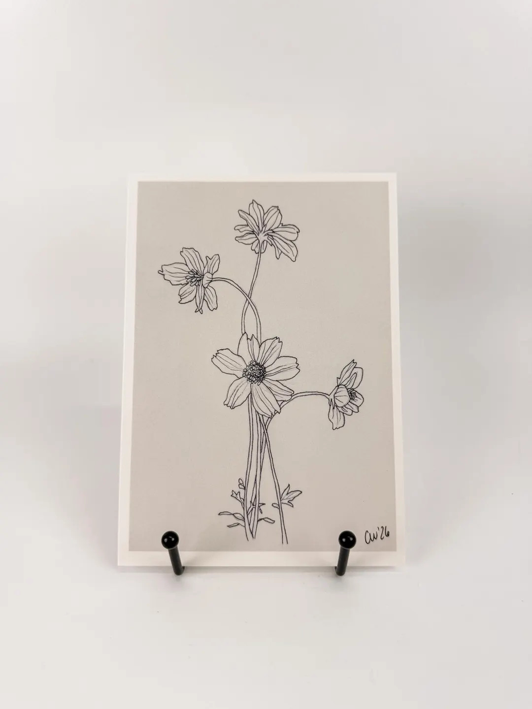Cosmos Flower Art Print, 5x7 Print Of Floral Drawing, Black And White Garden Inspired Wall Art (S... | Etsy (Global)